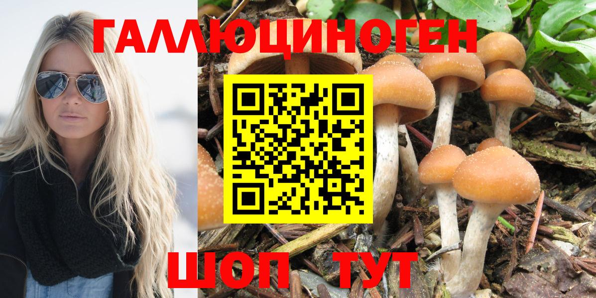 Псилоцибиновые грибы прущие грибы Калининград