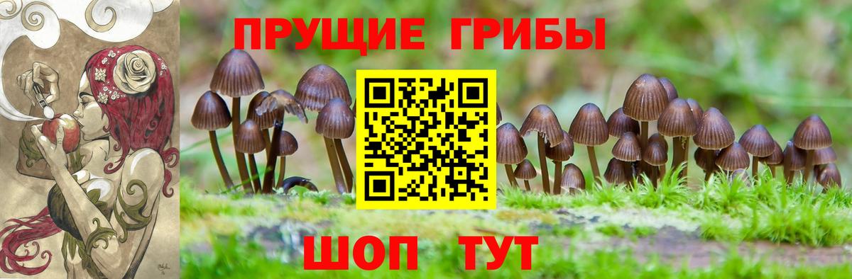 Галлюциногенные грибы Psilocybine cubensis  Галлюциногенные грибы мицелий  Вход с VPN  Калининград 